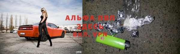 прущие грибы Новокубанск