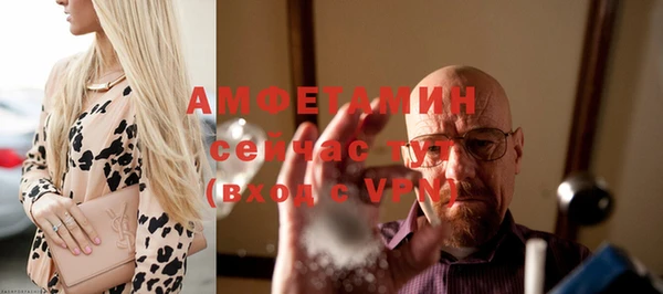 прущие грибы Новокубанск
