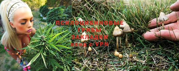 кристаллы Новозыбков