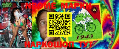 гашик Будённовск