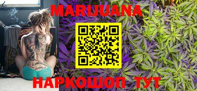 гашик Будённовск