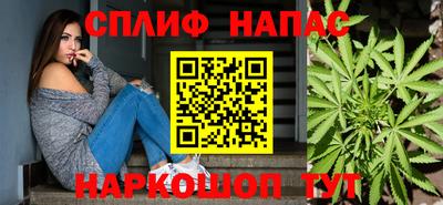 индика Гусь-Хрустальный