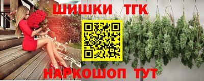 индика Гусь-Хрустальный