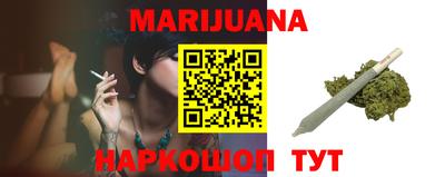 гашик Будённовск