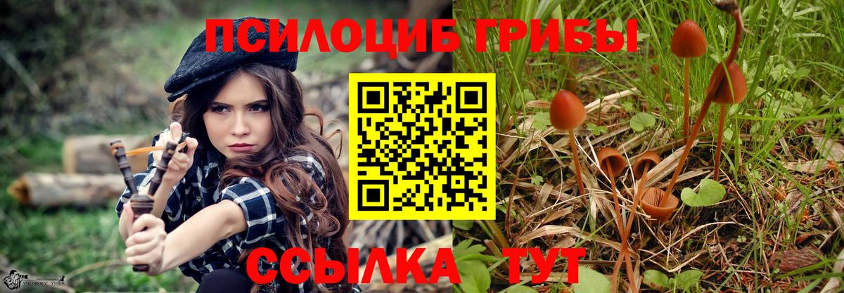Арсеньев  Галлюциногенные грибы MAGIC MUSHROOMS  Вход с VPN 