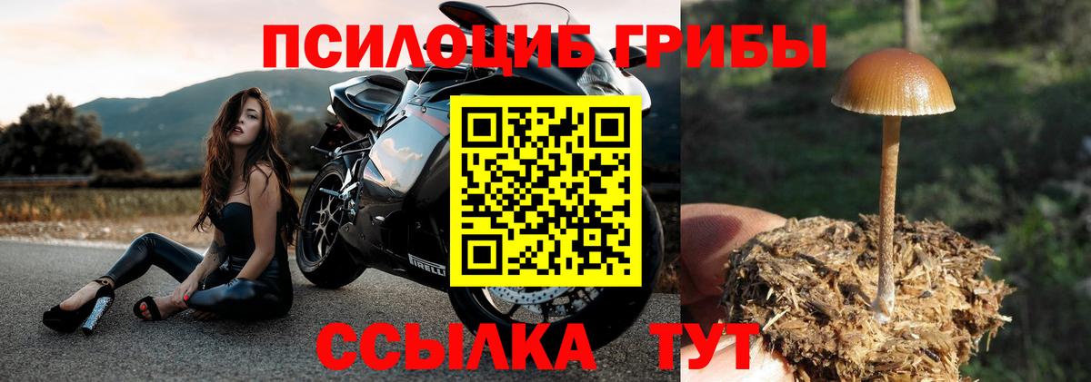 Галлюциногенные грибы Cubensis Арсеньев